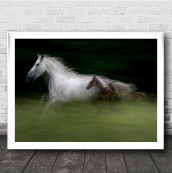In Nspeed Lipicanci Horse Speed Baby Cute Long Exposure Motion Wall Art Print