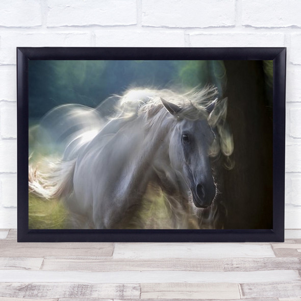 In Shadow Abstract Horse White Blurry Motion Toned Photography Wall Art Print