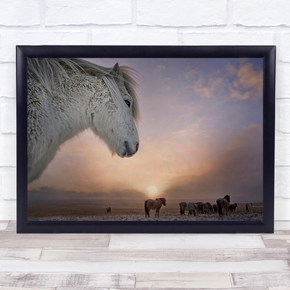 The Opening Iceland Horses Sun Weather Winter Wind Horse Flock Wall Art Print