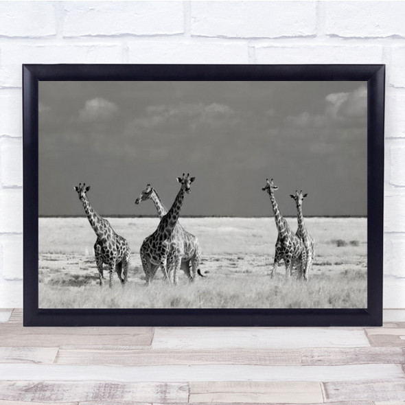 Look Girl Strange Animals Nature Animal Wild Wildlife Giraffe Wall Art Print