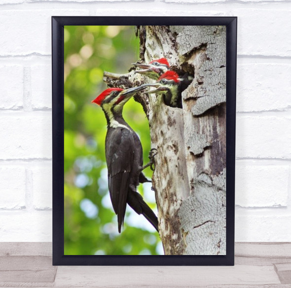 Pileated Woodpecker Nature Animal Wildlife Wild Birds Spring Wall Art Print