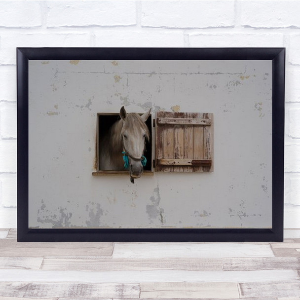 Ventania Horse Stallion Lusitano Window Horses Humor Humour Wall Art Print