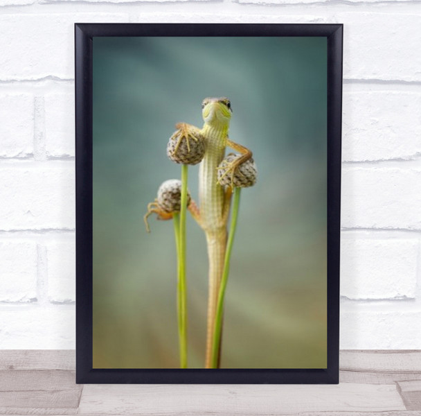 Hallo Lizard Lizards Reptile Reptiles Animal Animals Hello Wall Art Print