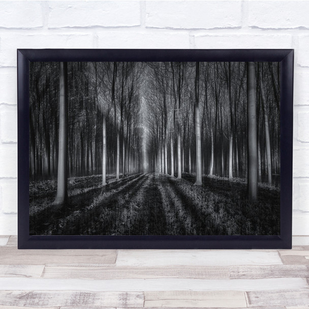 Into The Forest Tree Winter Monochrome B&W Trees Landscape Wall Art Print