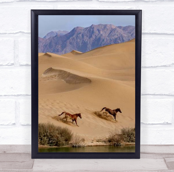 Salvation Landscape Desert Horse Horses Run Running Gallop Wall Art Print