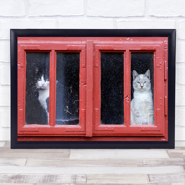 A Room With View Animal Animals Red Frame Cat Cats Window Wall Art Print