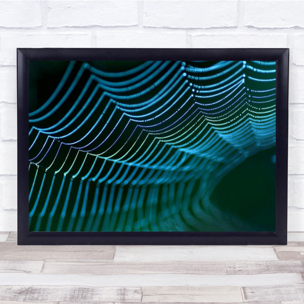 Spider's Web Abstract Spider Cobwebs Threads Close Sweden Wall Art Print