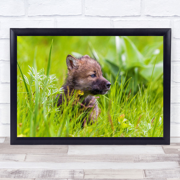 Young Wolf Pup Animal Wolves Animals Cute Baby Grass Cub Wall Art Print