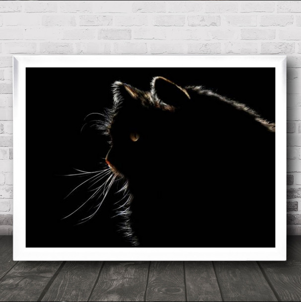 Cat Outline Animal Animals Dark Low Key Low-Key Backlit Wall Art Print