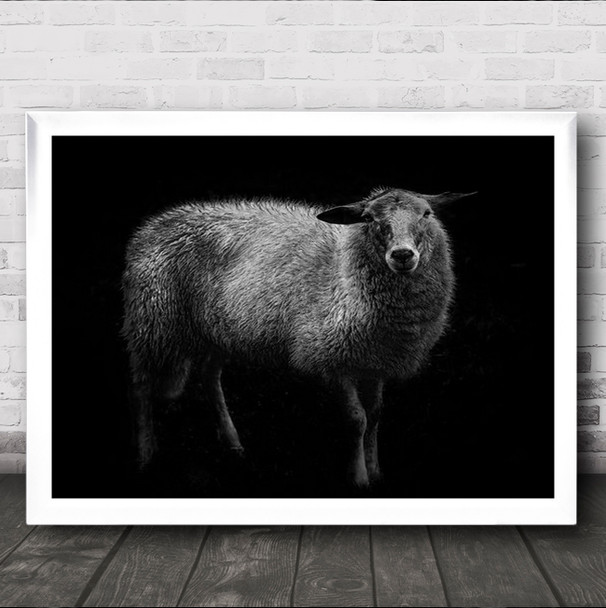 Sheep Livestock Cattle B&W No Background Animal Animals Wall Art Print Sheep Livestock Cattle B&W No Background Animal Animals Wall Art Print