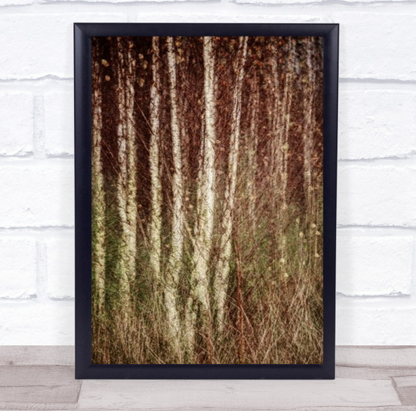 Birch Wood Trees Averbode Painterly Multipel Exposure Wall Art Print