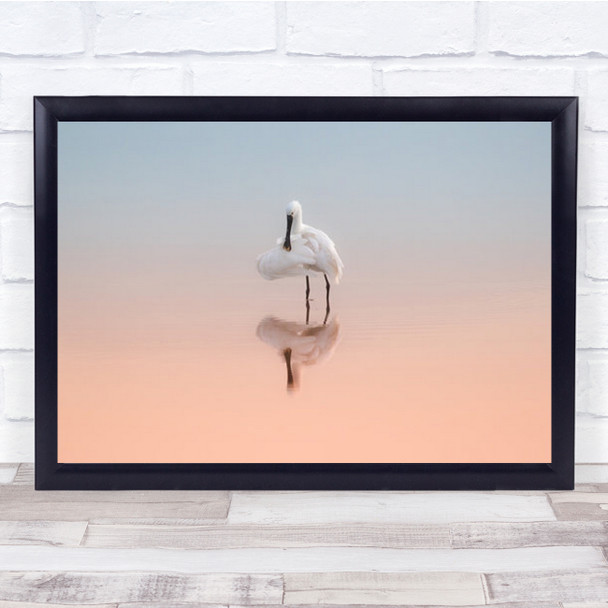 Spoonbill In The Sunrise Light Minimalism Bird Animal Wall Art Print