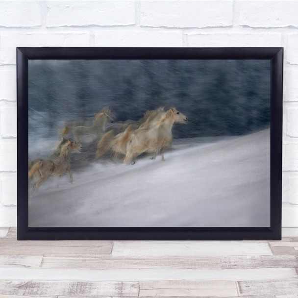 Winter Scene Horse Horses Run Running Snow Cold Slope Wall Art Print