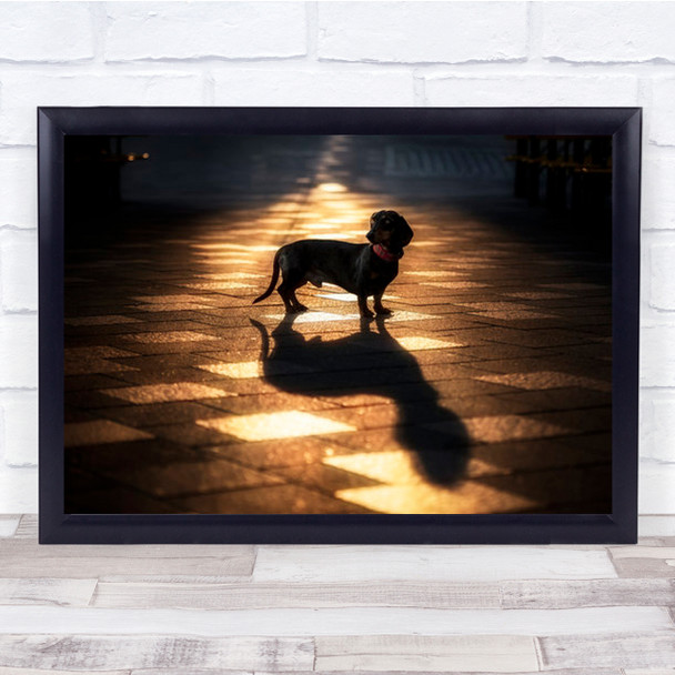 Kluftinger And His Shadow Animals Dogs Morning light Wall Art Print