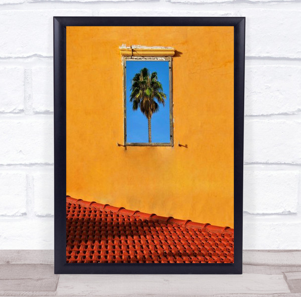Urban Texture Tel Aviv Jaffa Israel Palm Tree Window Wall Art Print