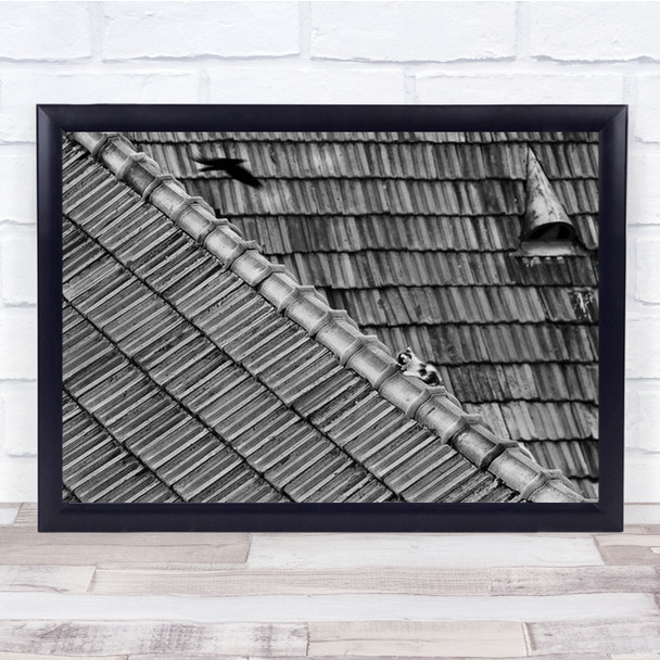 Roof Cat Bird Catch Prey Rooftops Brick Bricks Tile Wall Art Print