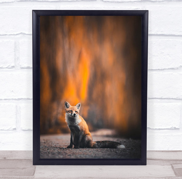 Fox Animal Animals Red Orange Path Cute Fur Furry Wall Art Print