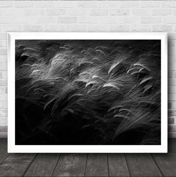 Hedgehog Grass Abstract Wheat Field Grow Harvest Wall Art Print