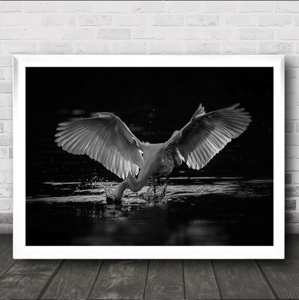 Large Bird Wings Spread Catching Fish From Water Wall Art Print