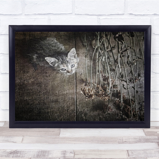 Somewhere Out There Kitten By Flowers Distressed Wall Art Print