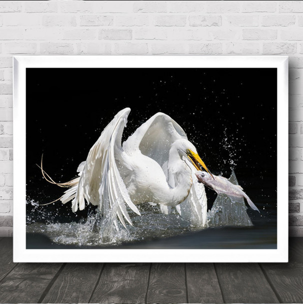 I Got It White Bird Of Prey Catches Pink Fish Wall Art Print I Got It White Bird Of Prey Catches Pink Fish Wall Art Print