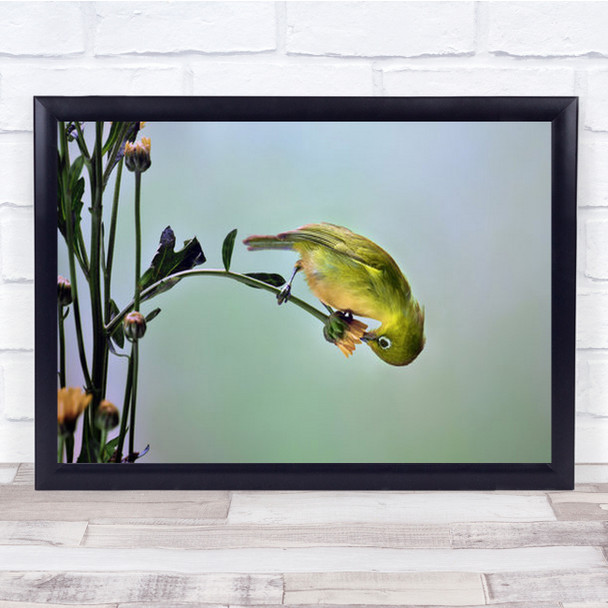 Acrobat Green Cute Bird Pollen Orange Flower Wall Art Print