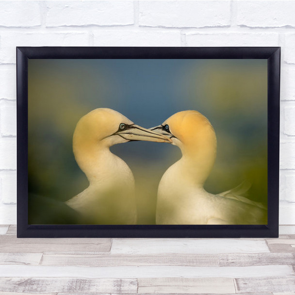 Fall In Love Two Yellow Birds Close Together Wall Art Print