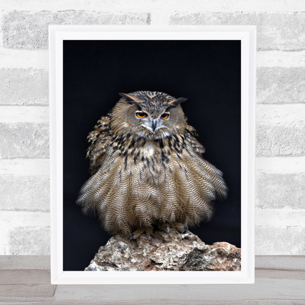 The Grand Duke Large Owl Perched On Rock Wall Art Print
