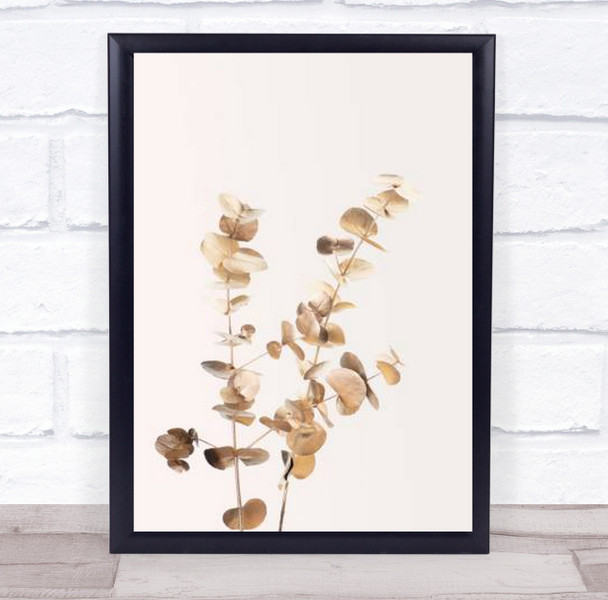 Eucalyptus Gold No 02 Botanical Studio Wall Art Print