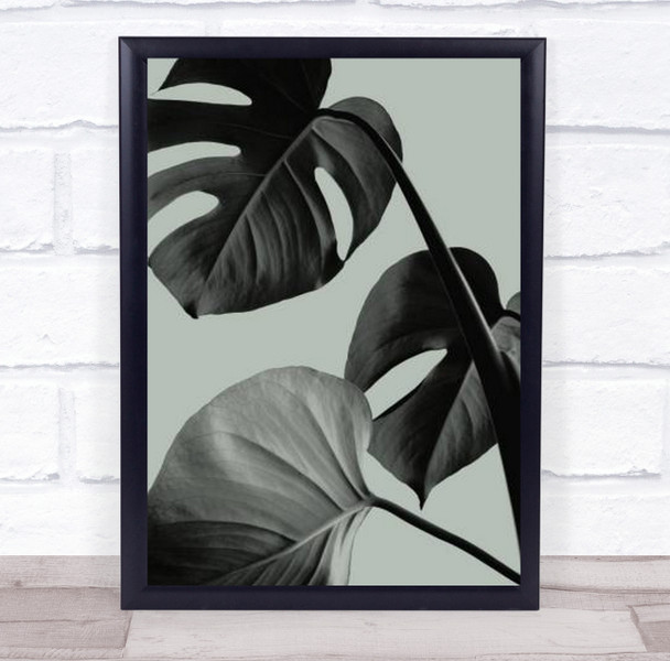 Monstera Teal 07 Studio Botanical Leaf Wall Art Print
