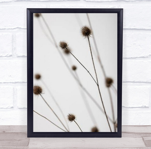 Thistle Grey 05 Dried Botanical Studio Wall Art Print Thistle Grey 05 Dried Botanical Studio Wall Art Print