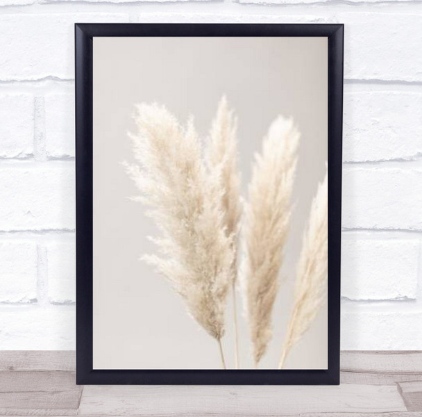 Pampas Grass Grey 02 Botanical Studio Wall Art Print