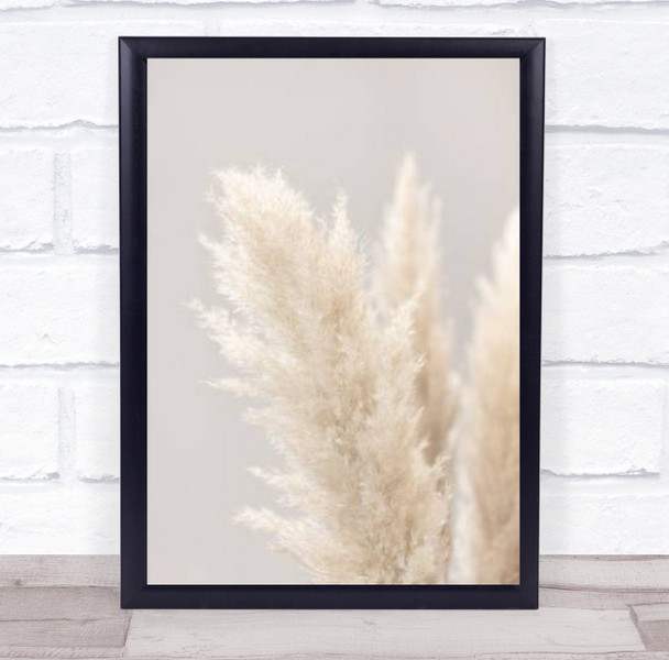 Pampas Grass Grey 03 Botanical Studio Wall Art Print