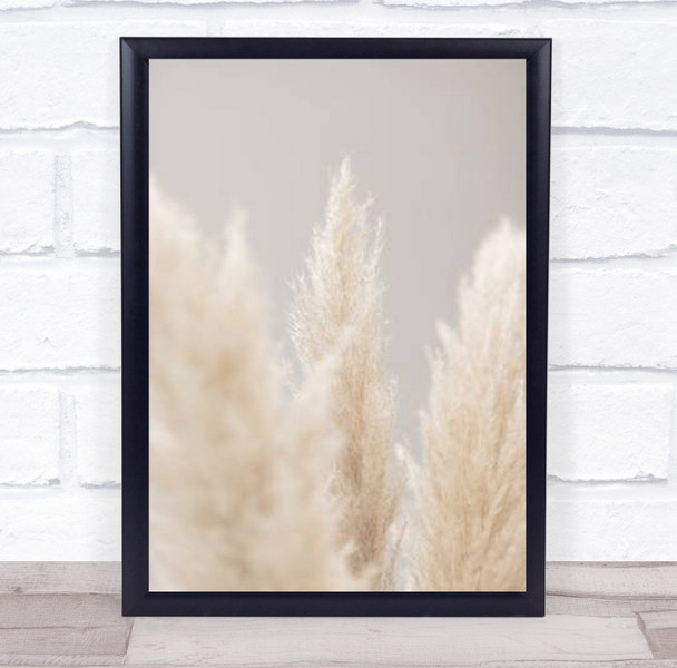 Pampas Grass Grey 04 Botanical Studio Wall Art Print
