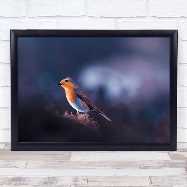 Bird Robin Perched On Flower Purple Wall Art Print