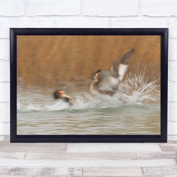 Bird Fight In Lake Blurry Motion Wall Art Print