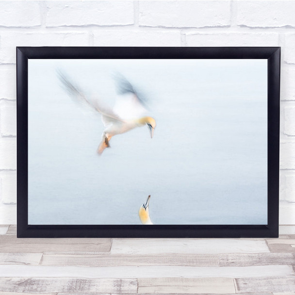 Waiting For You Two Birds Flying Wall Art Print