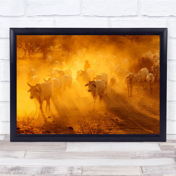 Cattle Herd Running In Sunset Wall Art Print