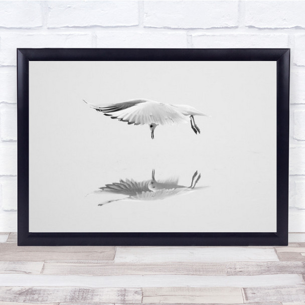 Narcissus Gull Seagull Wall Art Print