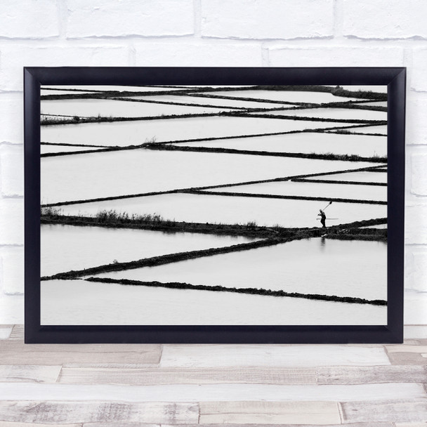 Documentary Black & White Black White Field Farming Cultivation Rice Paddy Print
