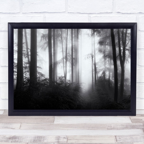 Landscape Rays Light Black & White Forest Trees Fog Mist Haze Panorama If Print