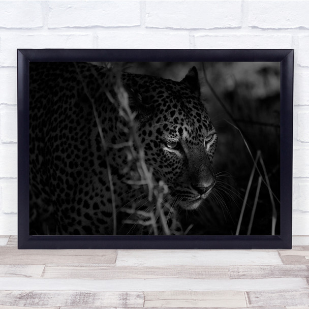 Black & White Feline Leopard Cat Dark Low Key Stalking Landscape Wall Art Print