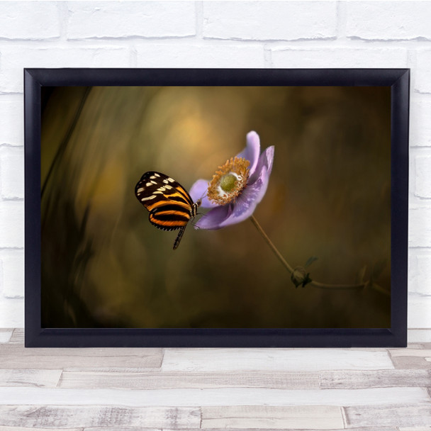 Heliconia Butterfly Anemone Conceptual Bokeh Garden Glower Macro Wall Art Print