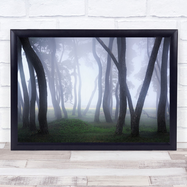 Pine Trees Forest Mist Fog Calm Peaceful Panorama Haze Landscape Wall Art Print