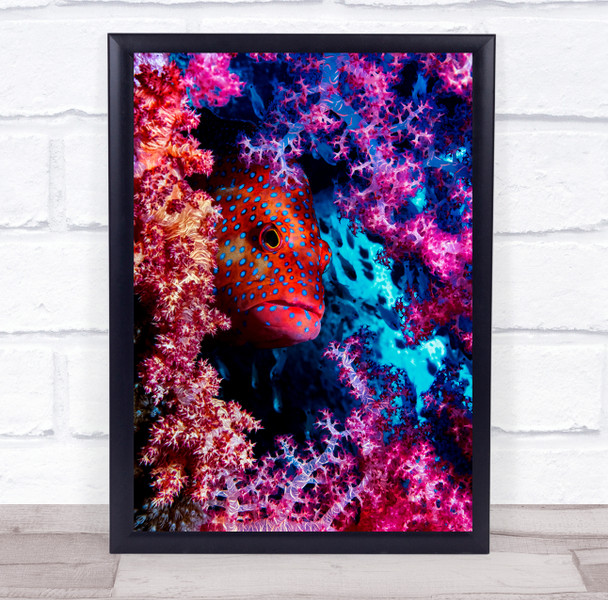 Coral Hind Fish Underwater Scuba Red Sea Eilat Dive Dots Dotted Wall Art Print Coral Hind Fish Underwater Scuba Red Sea Eilat Dive Dots Dotted Wall Art Print