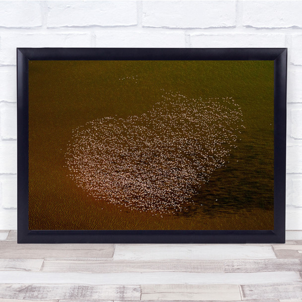 Flamingo Aerial Africa Kenya Magadi Flock Heart Flamingos Above Wall Art Print