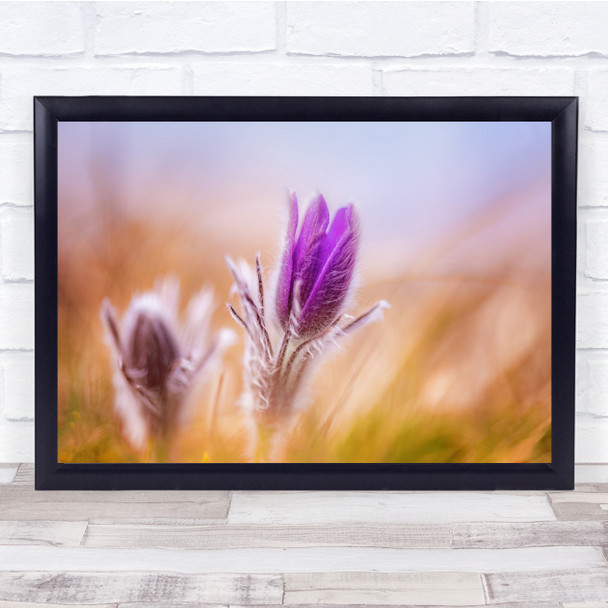 Macro Flower Flowers Floral Flora Botanical Meadow Bokeh Spring Wall Art Print