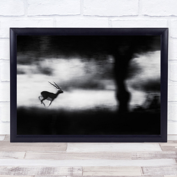 Run Running Speed Fast Blur Motion Gazelle Wildlife Wild Nature Wall Art Print