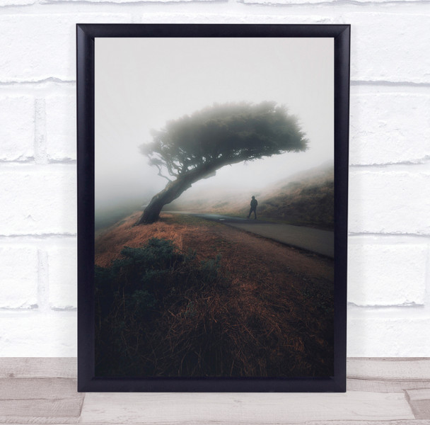 San Francisco Mood Tree California San Francisco Fog Mist Foggy Wall Art Print