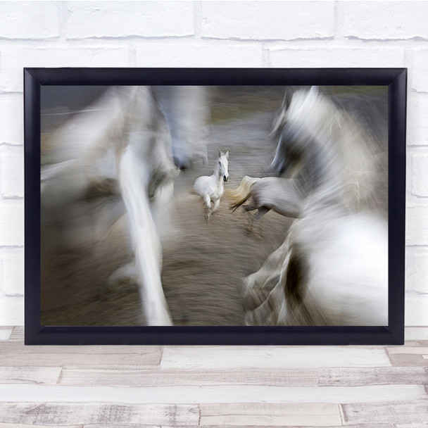 Action Horse Exposure Wild Wildlife Animal Animals Horses Pony Wall Art Print